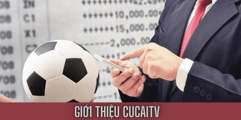 Củ Cài TV nơi cung cấp tin tức thể thao hấp dẫn cho người dùng 