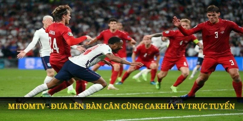 so sánh mitomtv vs cakhiatv